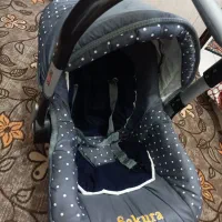 کریر وروروئک