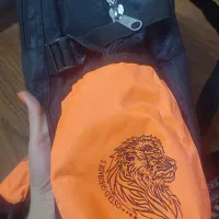 کوله ورزشی|کیف، کفش، کمربند|شیراز, ریاستی|دیوار