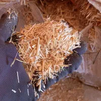 فروش کاه گندم