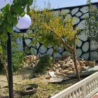 فروش باغ|فروش خانه و ویلا|صباشهر, |دیوار