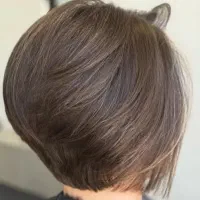 آموزش(رنگ لایت،کوتاهی،اصلاح) با حداقل شهریه