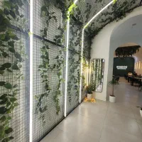 پشت منقلی، ظرفشور، سالندار