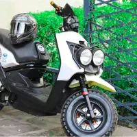 موتور برقی مادور