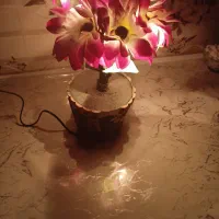 چراغ خواب گل متحرک|چراغ خواب و آباژور|ملایر, |دیوار