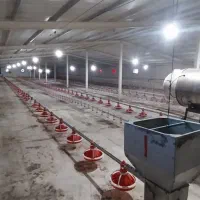 مرغداری گوشتی ۲۵ هزار قطعه اتوماتیک|فروش دفتر صنعتی، کشاورزی، تجاری|ثمرین, |دیوار