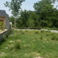 با-100میلیون-پیش-صاحب-این-زمین-شو