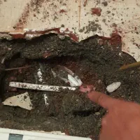 نشتی یابی با دستگاه لوله کشی نشتیاب باضمانت رفع نم|خدمات پیشه و مهارت|قوچان, |دیوار