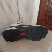 کفش کوهنوردی و رانینگ نو|کیف، کفش، کمربند|همدان, |دیوار