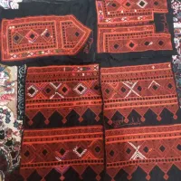 نقشه ی زیح گندم بزرگسال .نیمه کاره