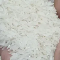 برنج فجر سوزنی ۹۰ روزه