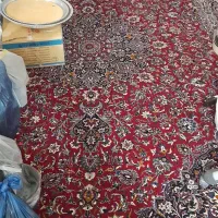 فرش|فرش|تاکستان, |دیوار