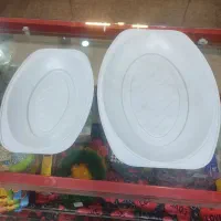 دیس کوچک و بزرگ یکبارمصرف