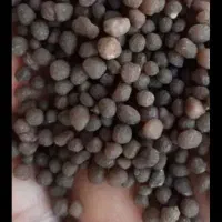 کود کشاورزی و باغبانی با ارسال رایگان|خدمات باغبانی و درختکاری|کرمانشاه, |دیوار