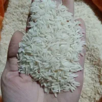 برنج هاشمی اعلاء خالص و معطر و مجلسی