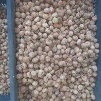 فروش انجیر|خوردنی و آشامیدنی|نی‌ریز, |دیوار