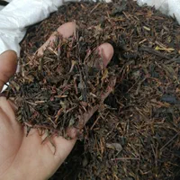 چای ساقه|خوردنی و آشامیدنی|رشت, کوی فکوری|دیوار