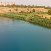 راننده پایه دو
