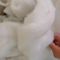 فروش پنبه هالو مرغوب