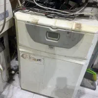 پکیچ آلزان اخگر زمینی ایستاده