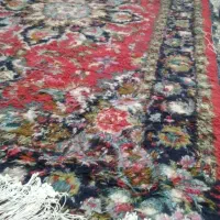 فرش هریس سالاری|فرش|سهند, |دیوار