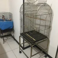 قفس پرنده