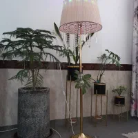 آباژور ایستاده|چراغ خواب و آباژور|تربت جام, کلالی|دیوار