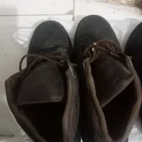 کفش ایمنی نو و کارکرده|کیف، کفش، کمربند|باغستان, |دیوار