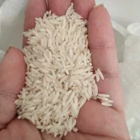 برنج هاشمی سورتینگ شده