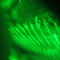 فروش-زمین-دیمی-در-سد-ایلام