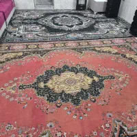 قالی 12متری