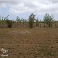 زمین کشاورزی ساوجبلاغ
