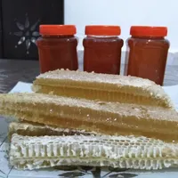 عسل 100%طبیعی بدون شکر و افزودنی|خوردنی و آشامیدنی|مشهد, چهارچشمه|دیوار