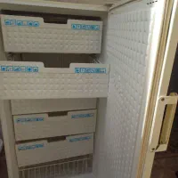 فریزر بوژان