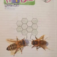 کتاب|کتاب و مجله آموزشی|فسا, |دیوار