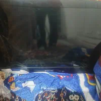 تلویزیون ۳۲ اینچ سامسونگ