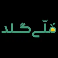 کارباگوشی درمنزل