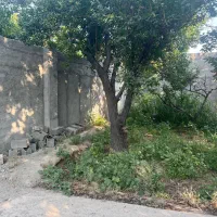 ۱۰۰۰ متر باغ چهاردیوار میدان نماز راشبر|فروش خانه و ویلا|شهریار, رضی آباد پایین|دیوار