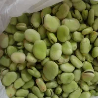 باقله و باقله دون کرده