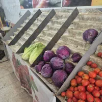 استند میوه|فروشگاه و مغازه|رباط‌کریم, شهرک والفجر|دیوار