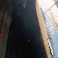 نیسان مدل402|خودرو سواری و وانت|مرودشت, ولایت|دیوار