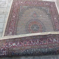 قالیچه دستباف بیرجند نقش ریز ماهی|فرش|مشهد, شهید بهشتی|دیوار