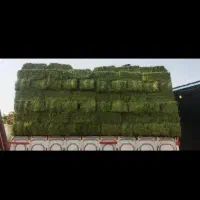 کاه یونجه|خدمات باغبانی و درختکاری|بروجرد, |دیوار