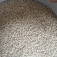 برنج هاشمی