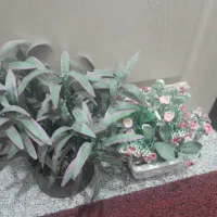 فروش دو گلدان گل مصنوعی|گل مصنوعی|تبریز, |دیوار