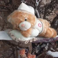 سگ پشمالو خوابالو