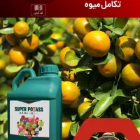 استخدام منشی خانم ترجیحا مجرد