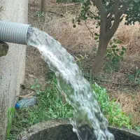 مغنی باسابقه چاهای آبی