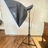 استخدام نیرو در بهارستان