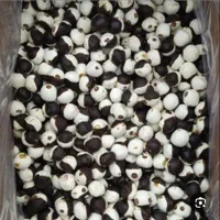 فروش انواع کشک گرد دورنگ دوسر پیچ تخته ای|عمده‌فروشی|زاهدان, |دیوار