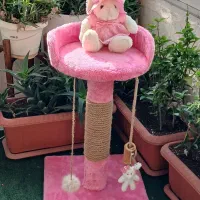 اسکرچر گربه